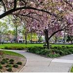 Morristown Green
