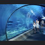 Maui Ocean Center, The Aquarium of Hawaii
