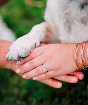 The Wedding Website of Andrea Slifka and Adam Dimer