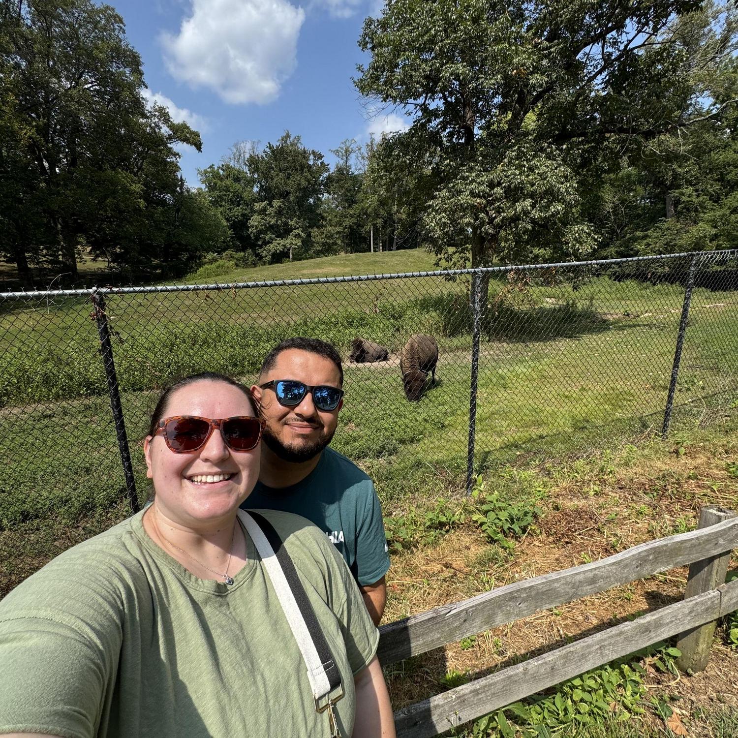 Buffalo friends in Maymont Park, Richmond VA