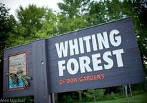 Whiting Forest of Dow Gardens