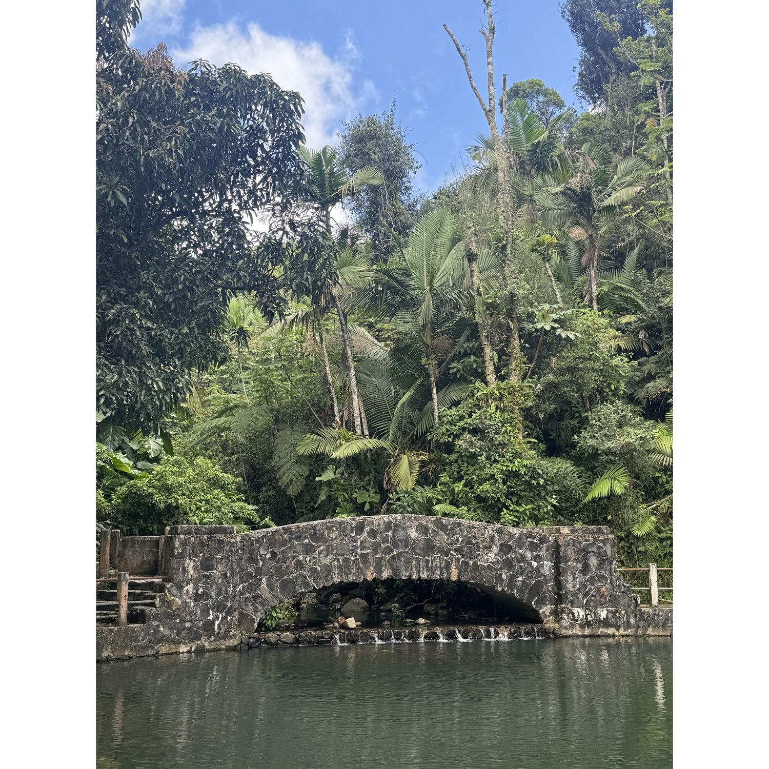 Puerto Rico 2024
