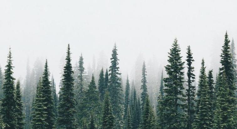 Footer image