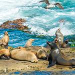 La Jolla Cove