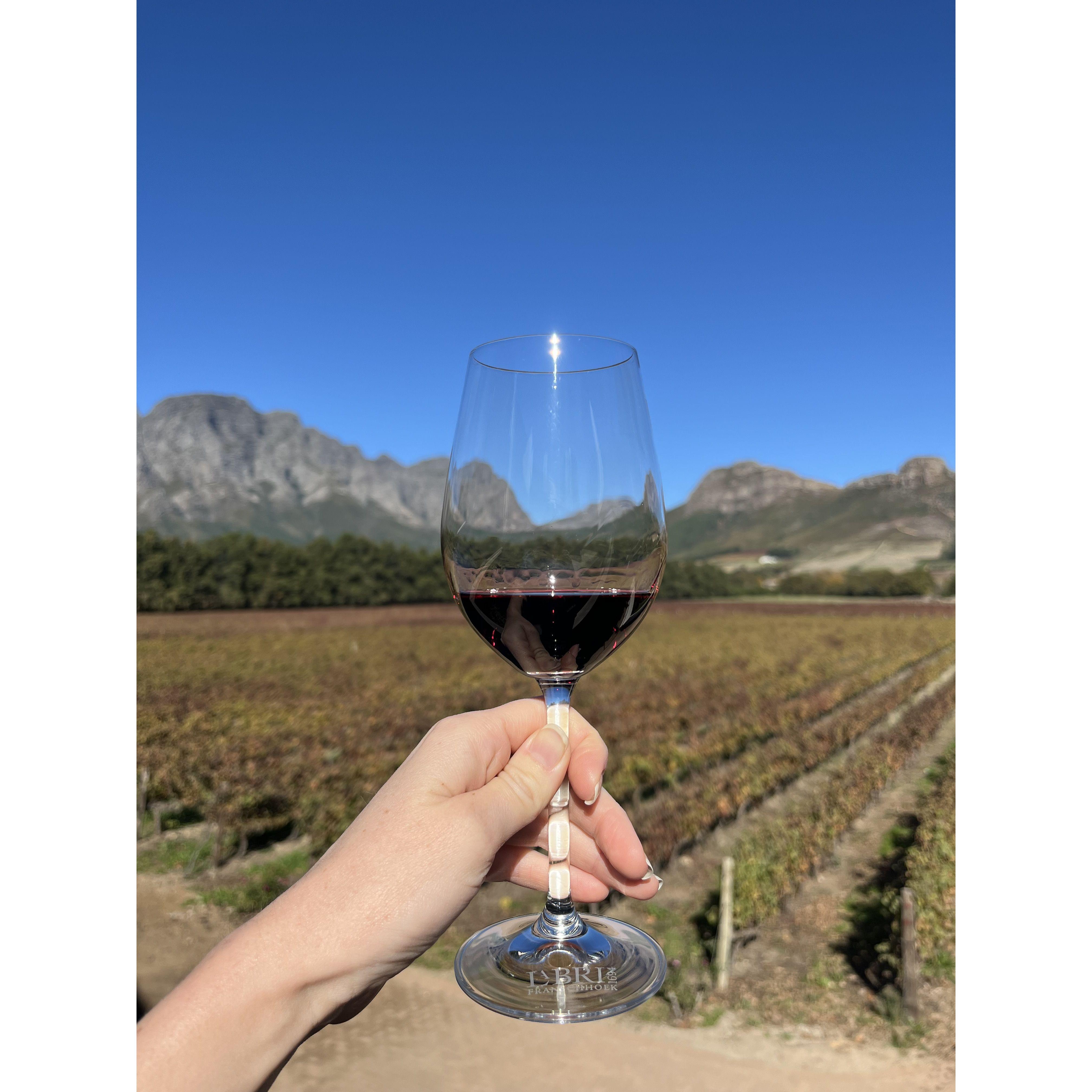 Franschhoek Valley, May 2024