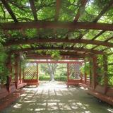 Arboretum and Botanical Garden at Cal State Fullerton