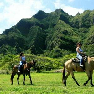 Honeymoon: Horseback Riding