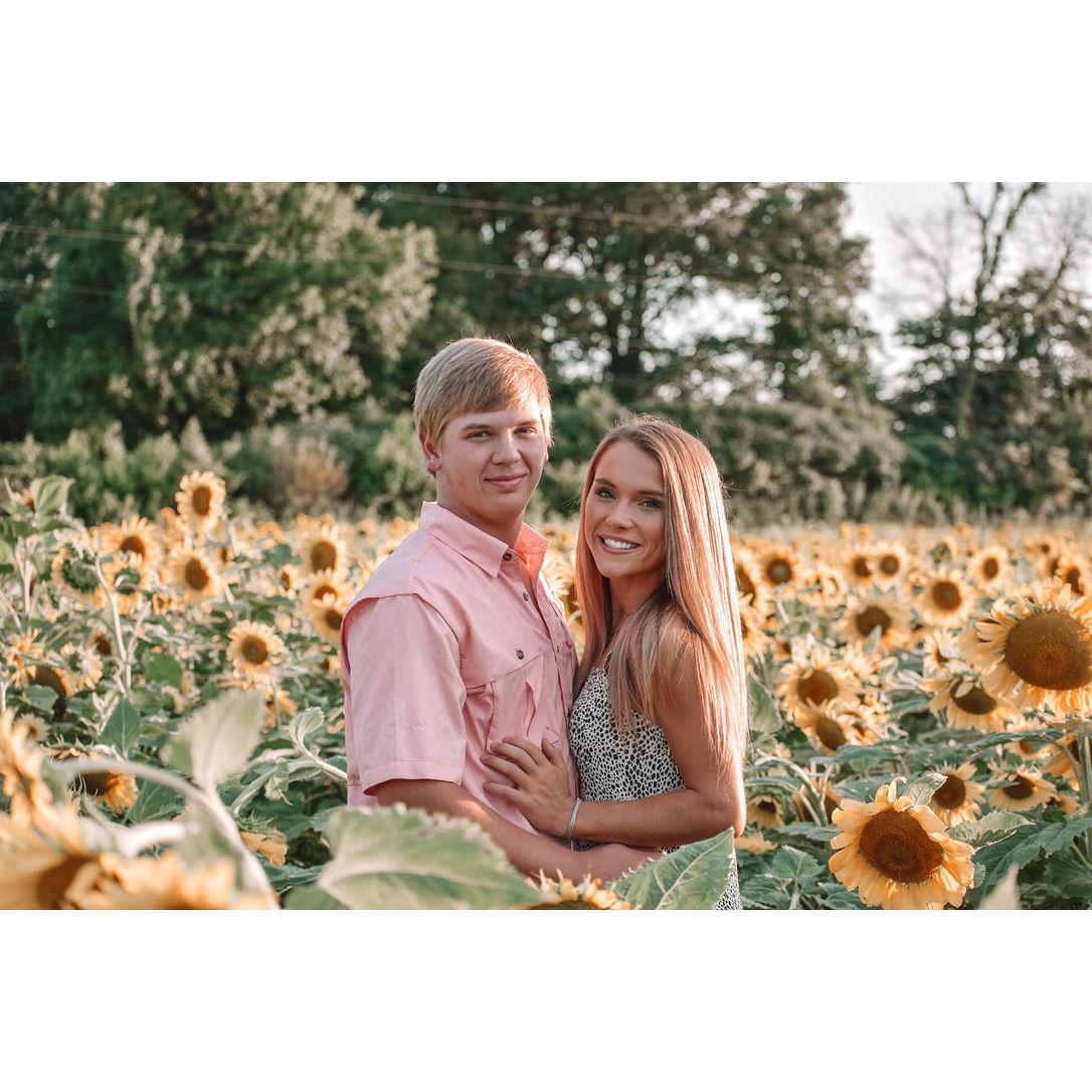 Sunflower Pictures 2020
