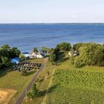 Love Point Vineyards and Winery