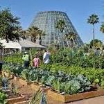 San Antonio Botanical Garden