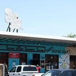 Dan's SilverLeaf