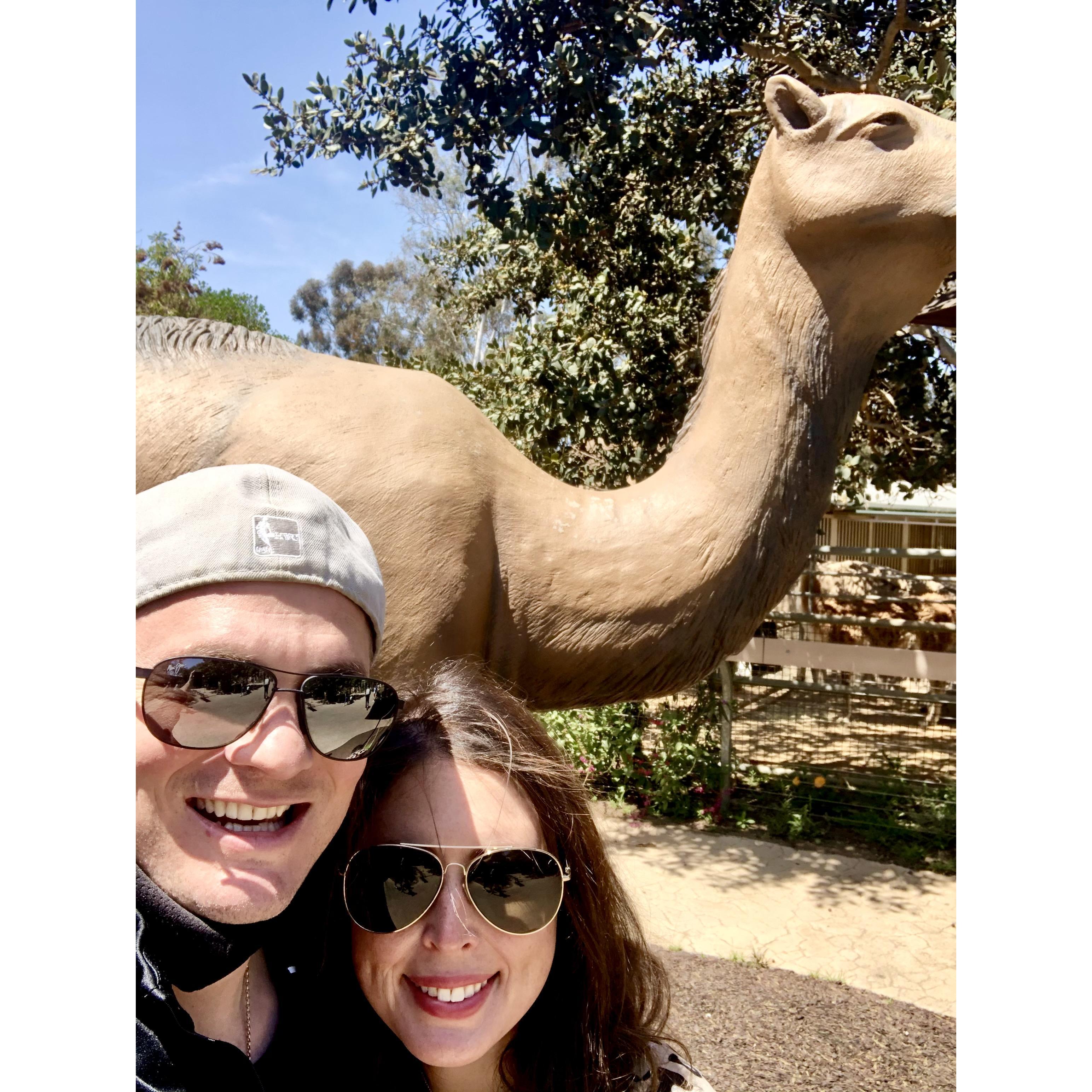 Brian's first San Diego zoo experience.