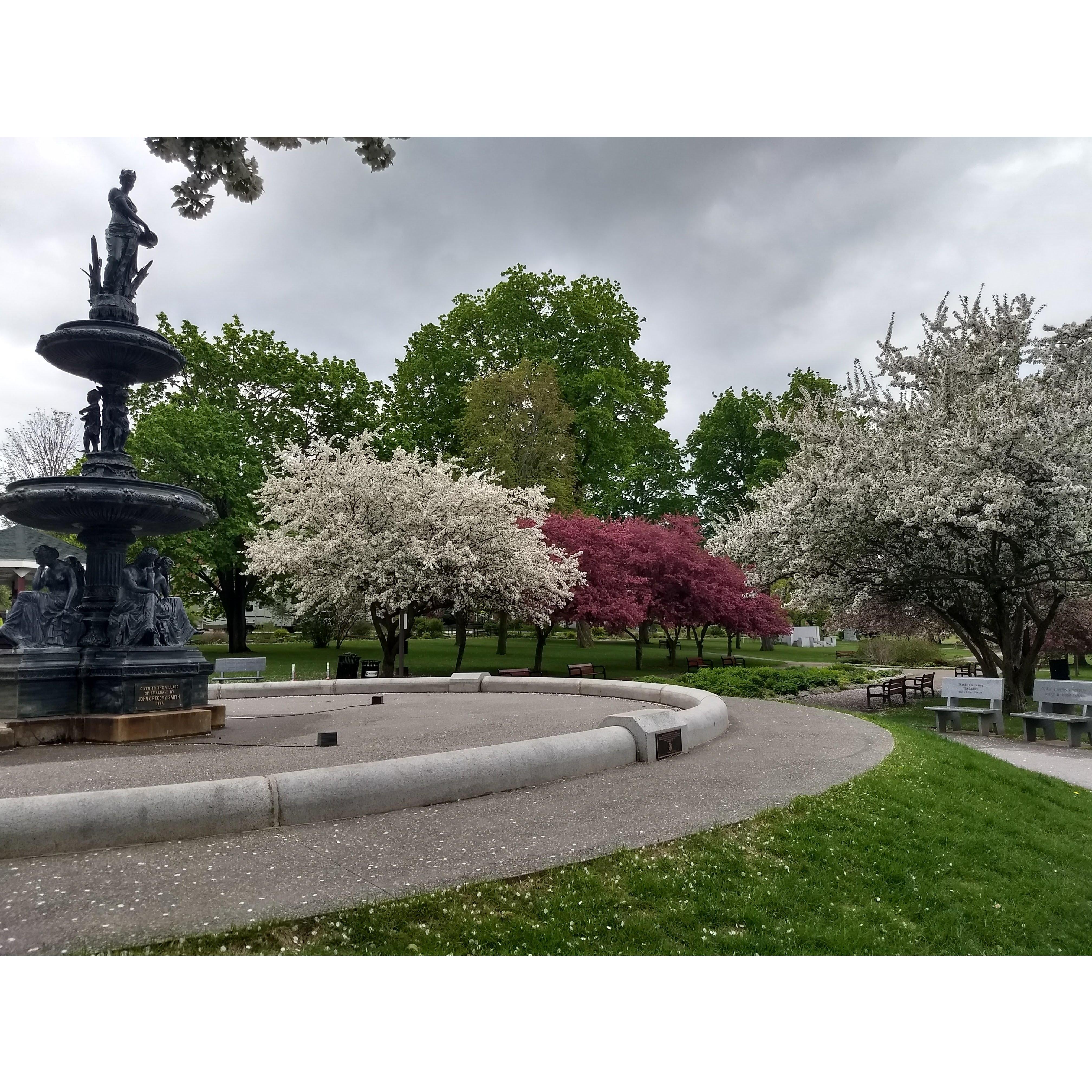 Taylor Park in spring! This is the park where the wedding ceremony will be held.