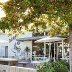 Dune Coffee Roasters