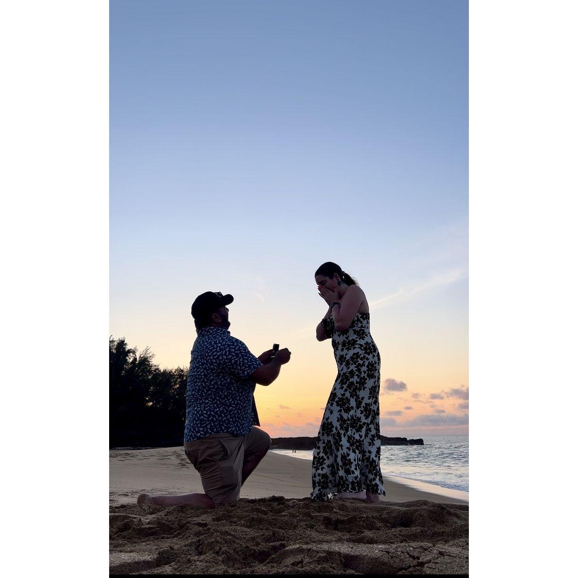 The proposal in Kauai