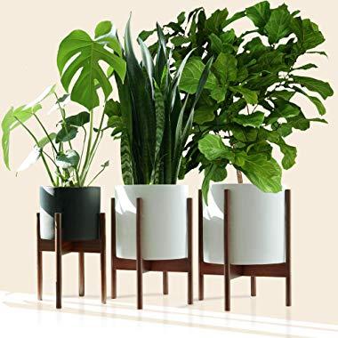 Fox & Fern New - Multi-Tiered Plant Stand Solid Acacia Wood - EXCLUDING White Ceramic Planter Pots - Set of 3