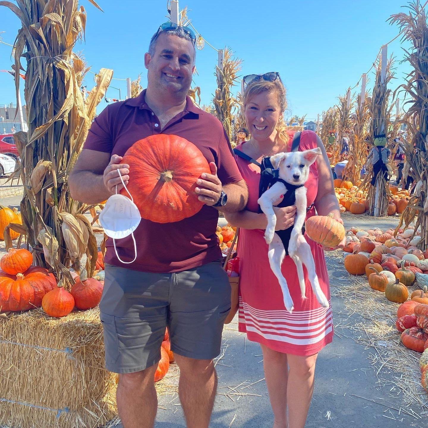 Pumpkin patch