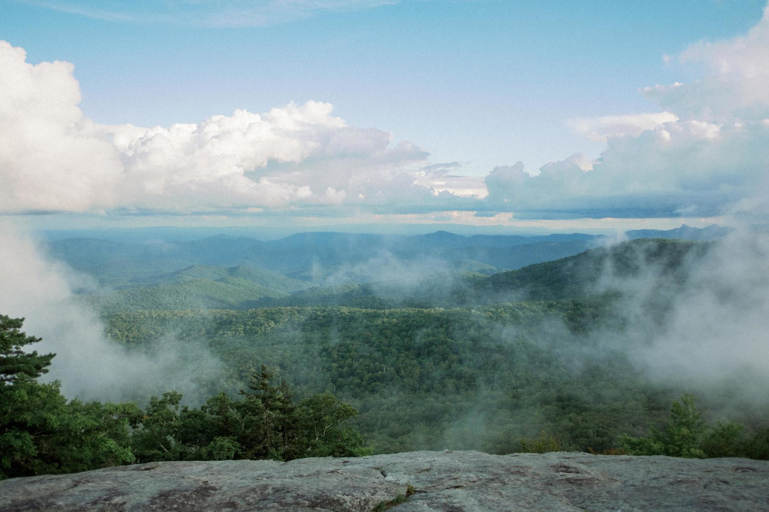 The Wedding Website of Arianna Hawn and Josh Starnes