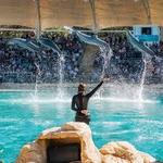 Sea World