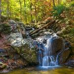 Patapsco Valley - Orange Grove Area