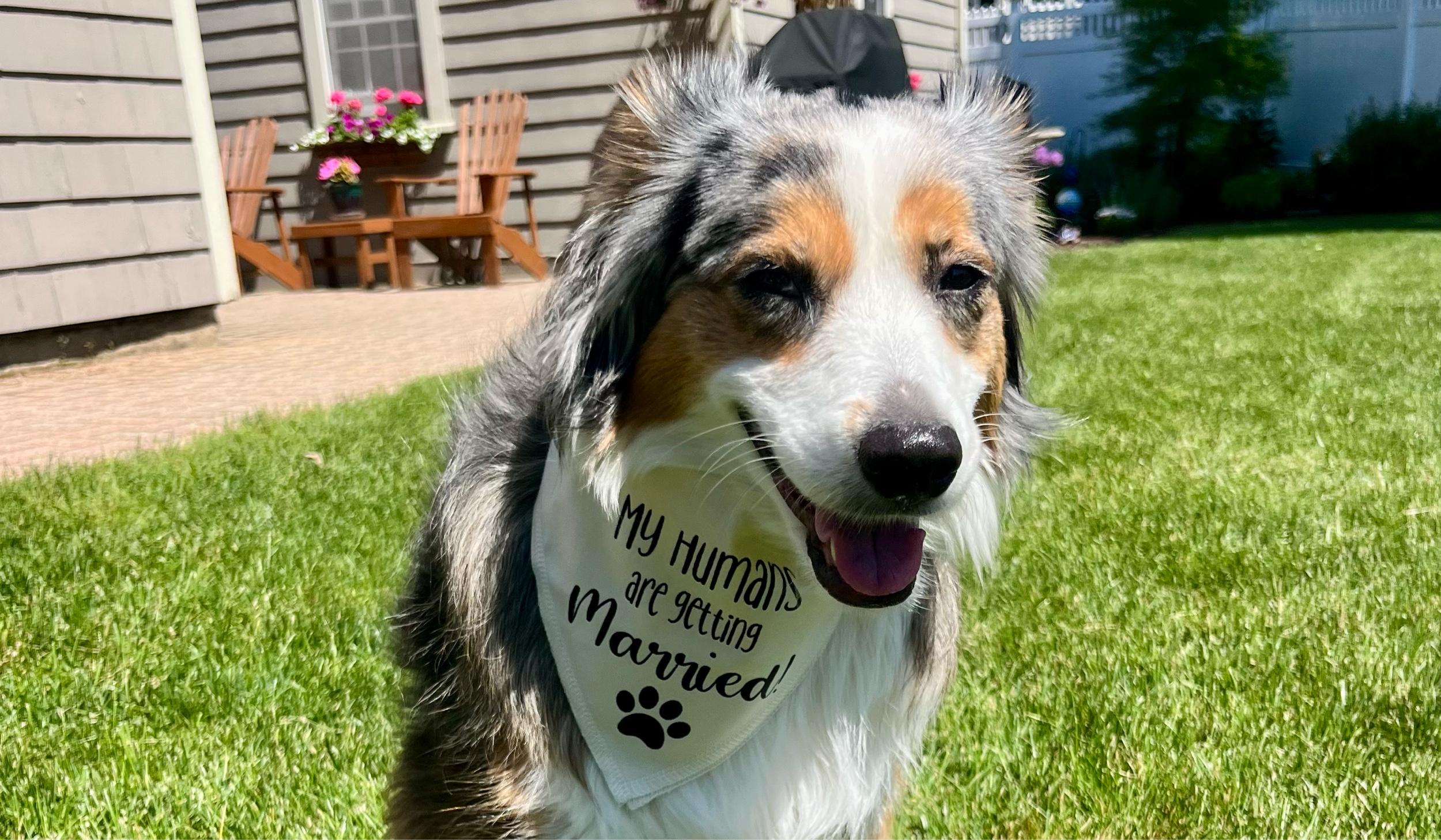 The Wedding Website of Mary Kathleen Rookstool and Conor Edison Foley