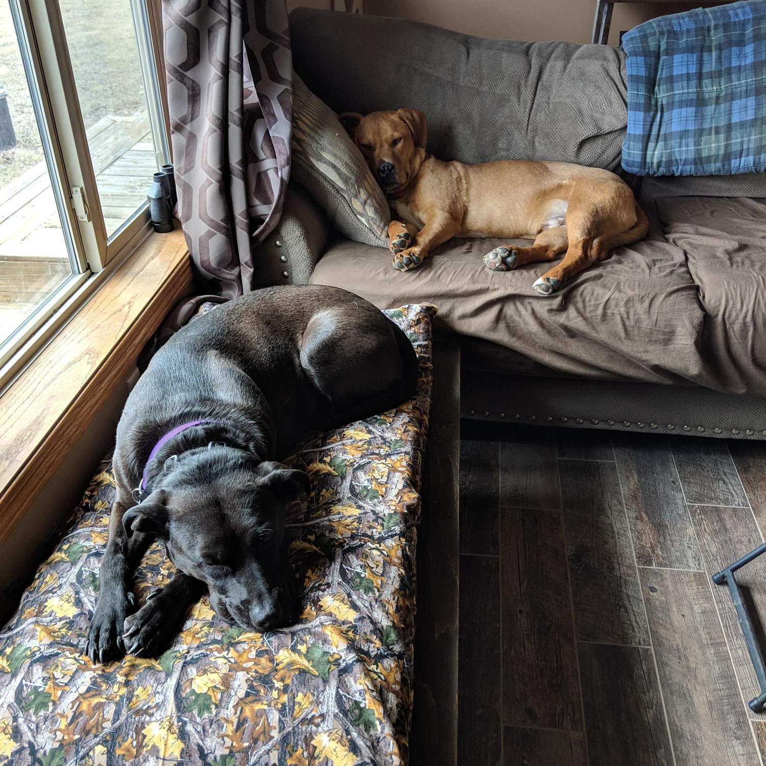Getting along from the beginning....