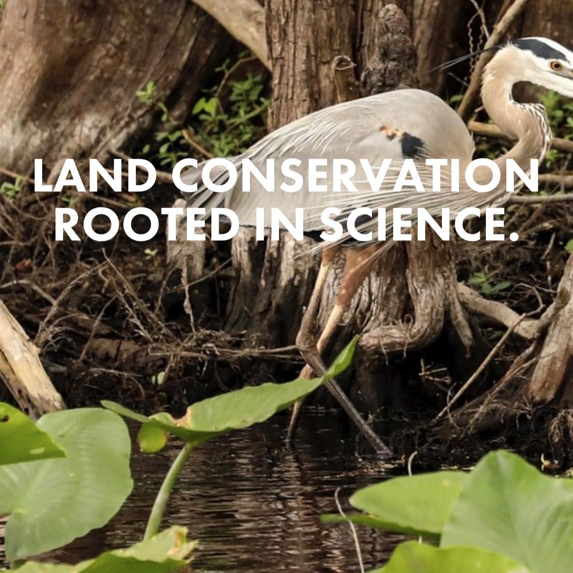 Conservation Florida