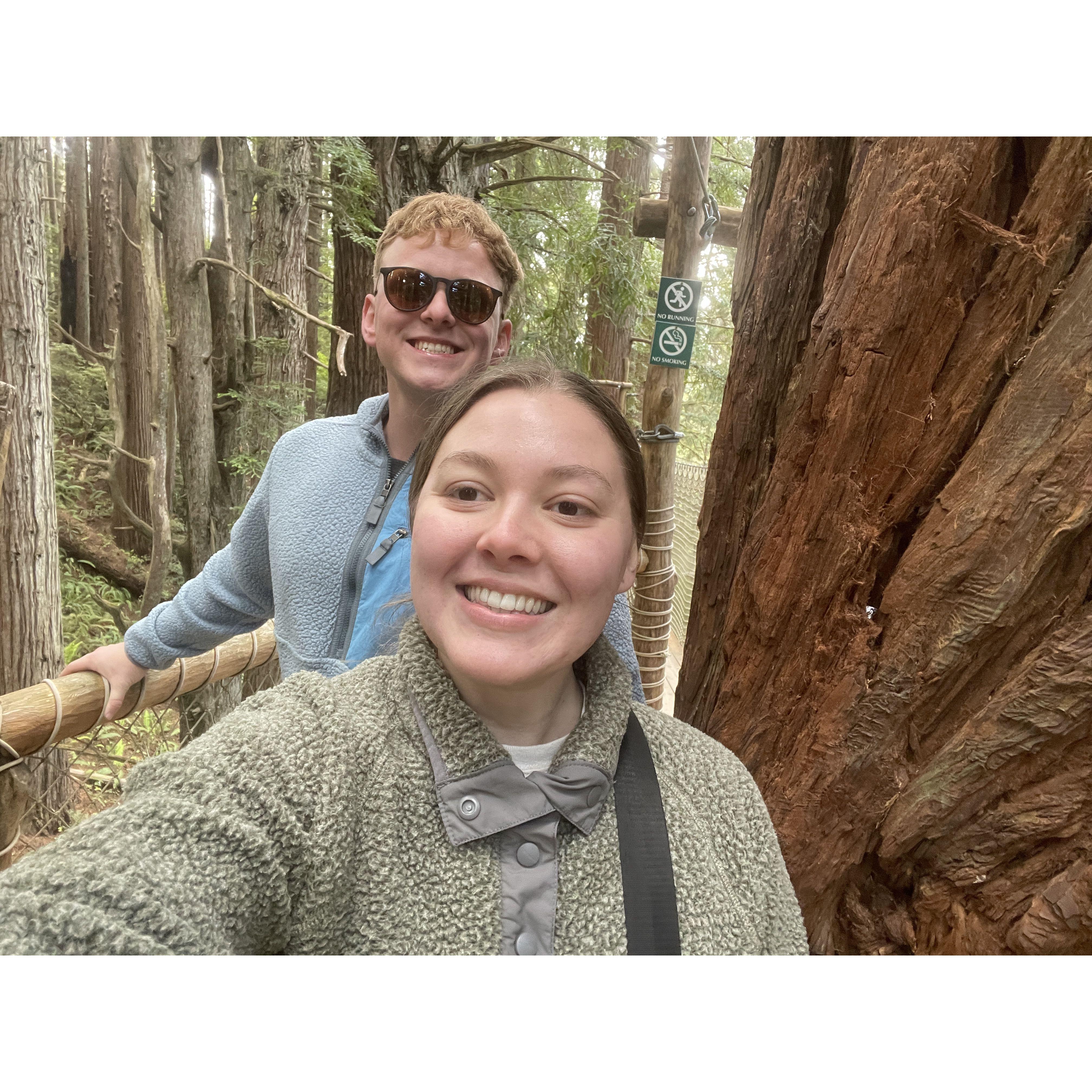 A trip to the Redwoods