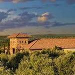 Texas Hill Country Olive Co.