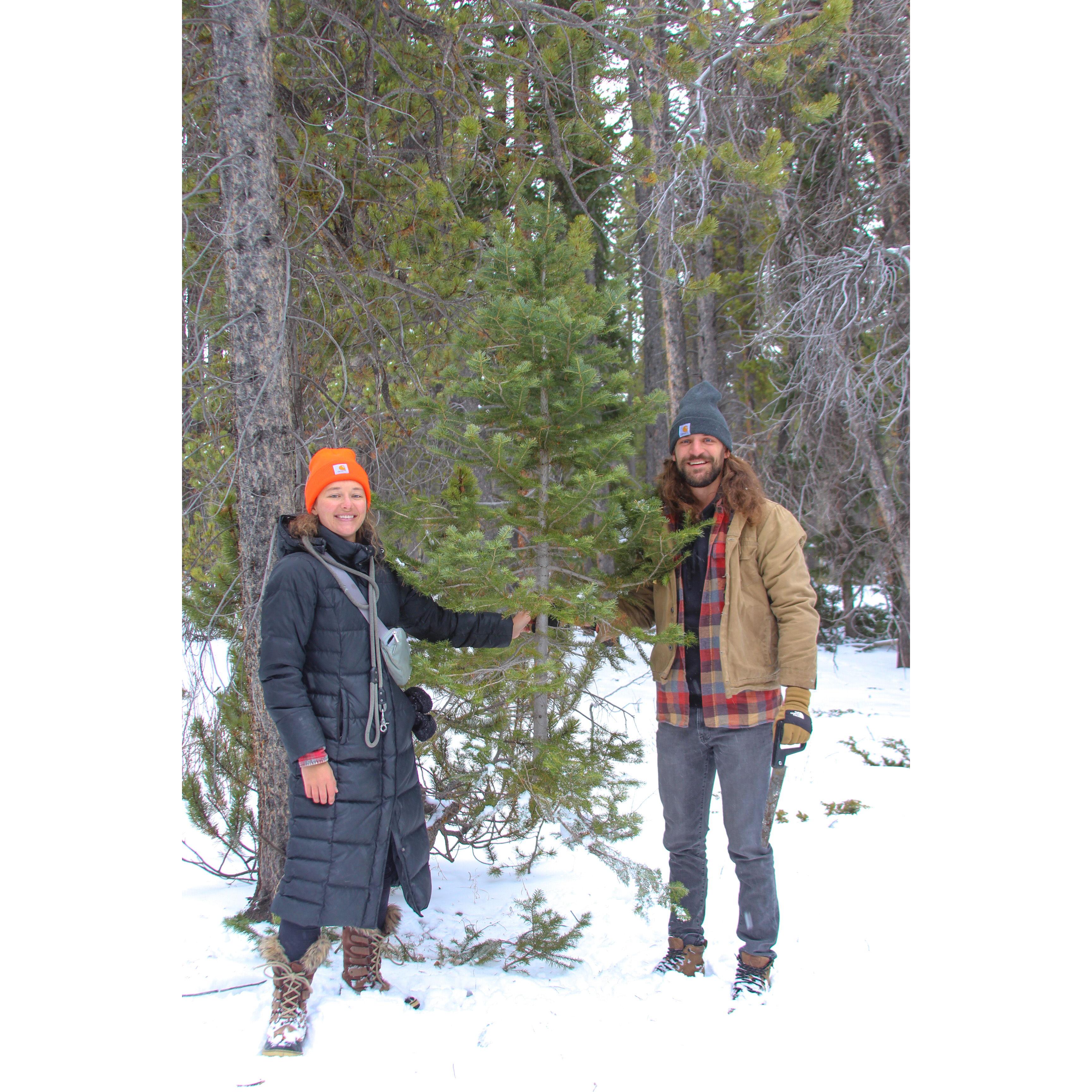 Doing Colorado things and cutting down our first (Charlie Brown) Christmas tree together