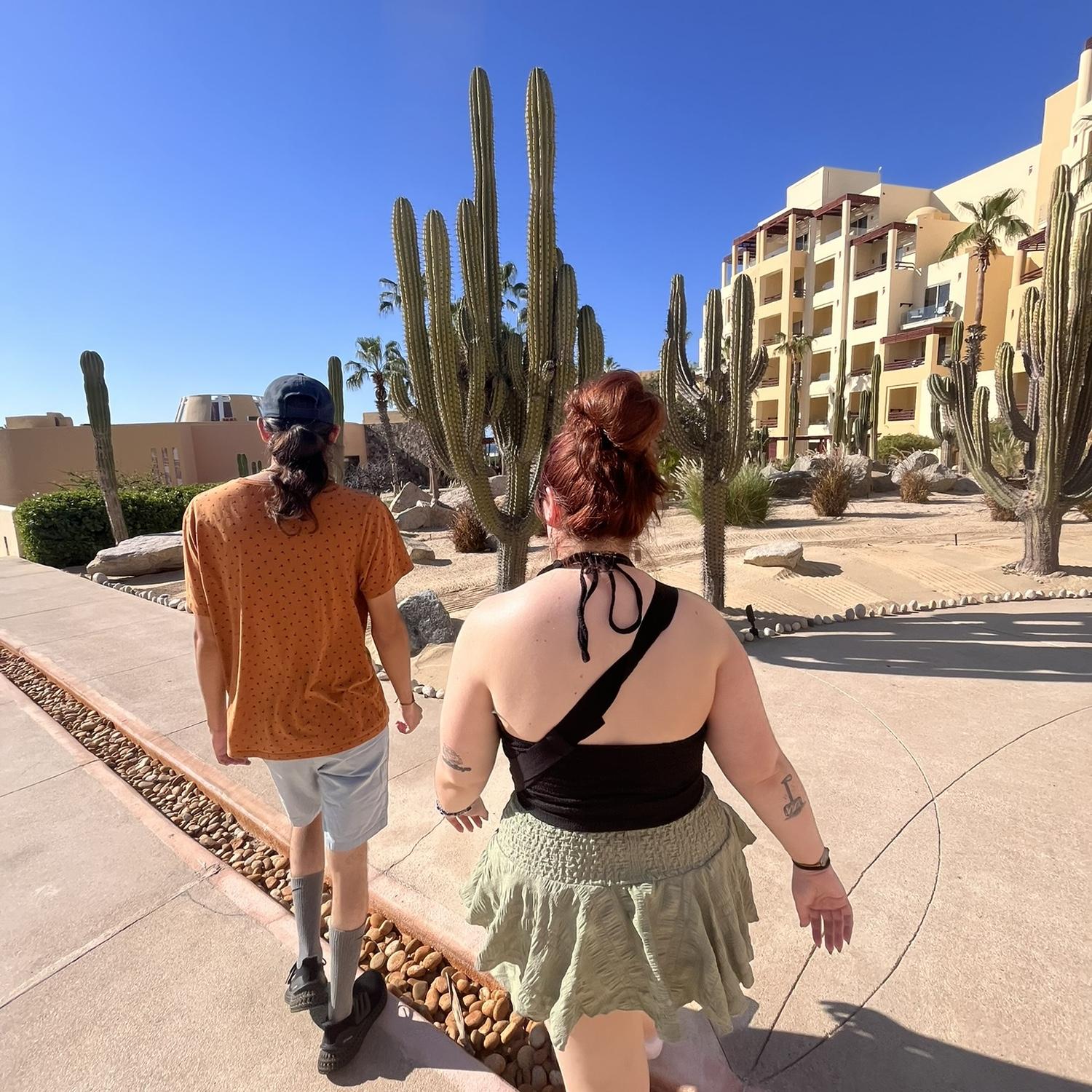 Cabo! 10.29.2024
