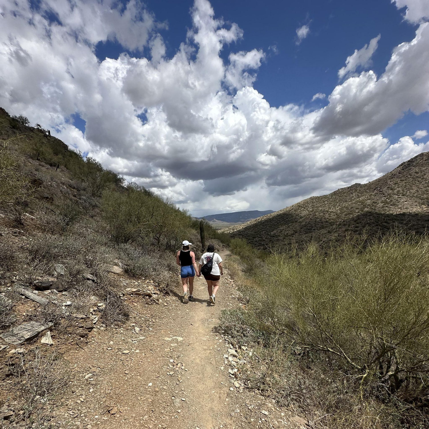 April 2025: Our second wonderful trip to Arizona!