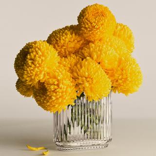 Bernadotte Oval Vase