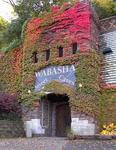 Wabasha Street Caves
