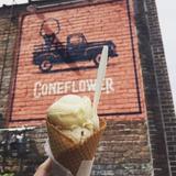 Coneflower Icecream