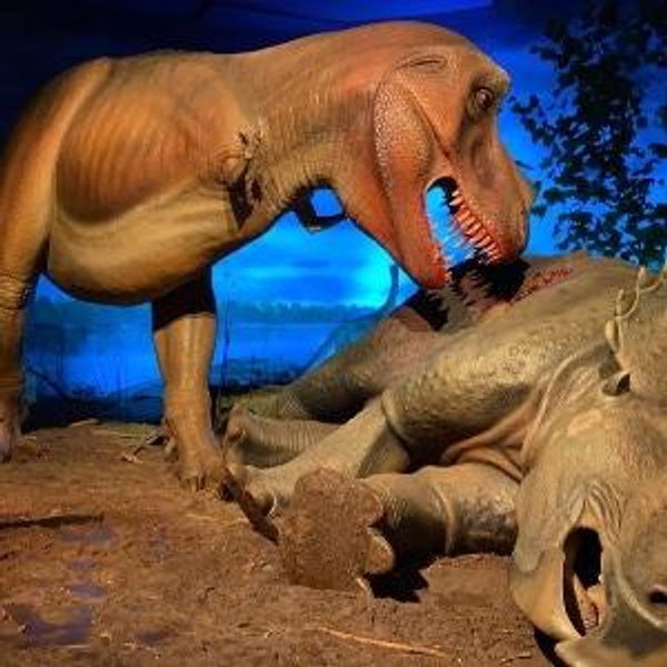 Milwaukee Public Museum Membership