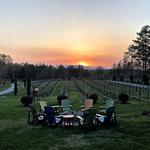 Overmountain Vineyards
