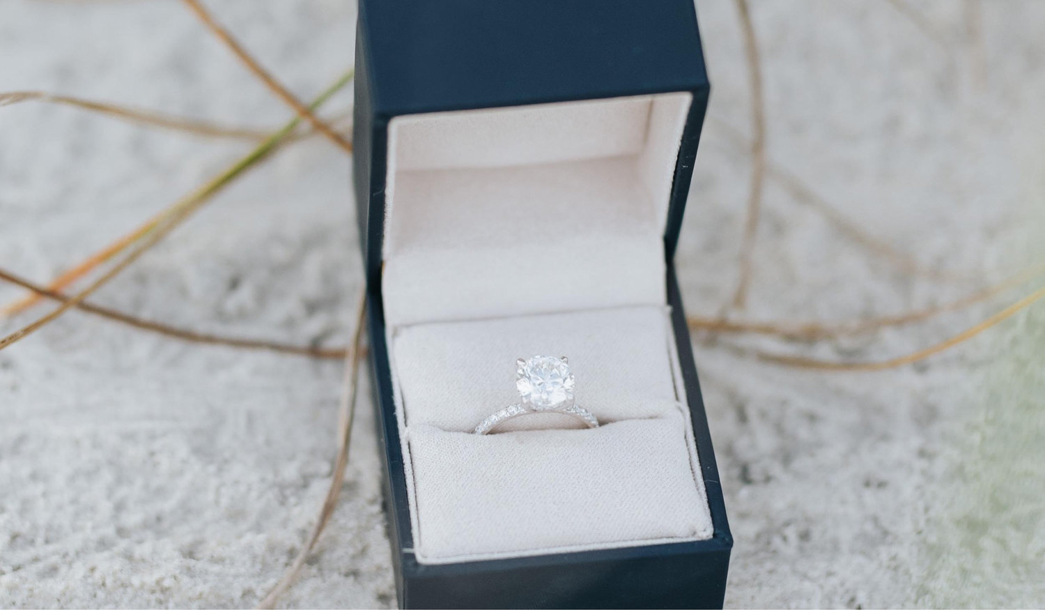The Wedding Website of Dalton Jenkins and Kaytlen Wiggins