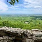 Bears Den