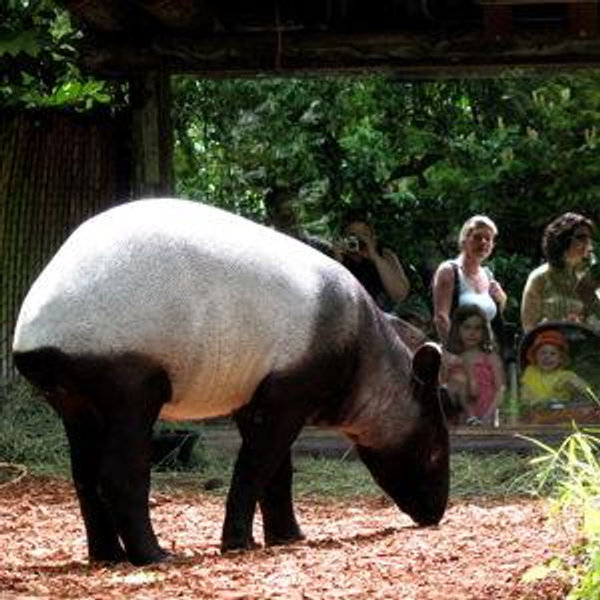 Tickets to Woodland Park Zoo