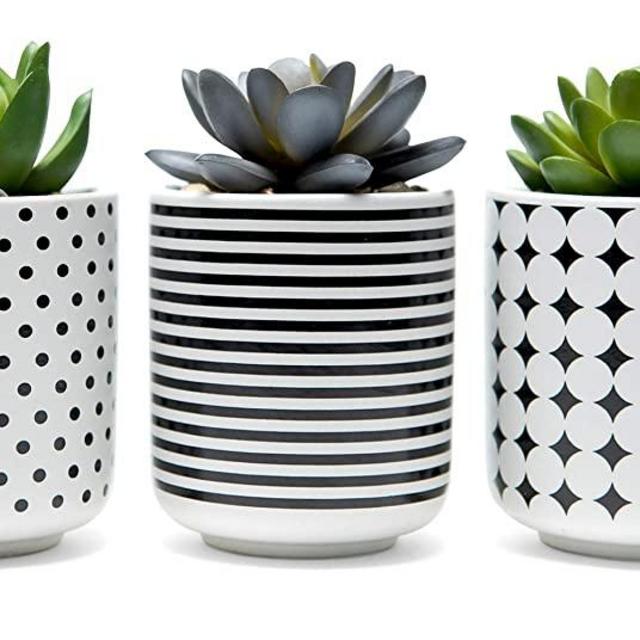Mini Artificial Succulent Plants Potted - Set of 3|Artificial Plants in Ceramic Pots|Fake Succulent Plants|Kitchen Office Bathroom Desk Bedroom Home Decor|Fake Plants|Faux Succulents|Decorative Plant