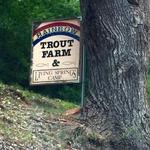 Sedona's Rainbow Trout Farm