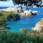Point Lobos State Natural Reserve
