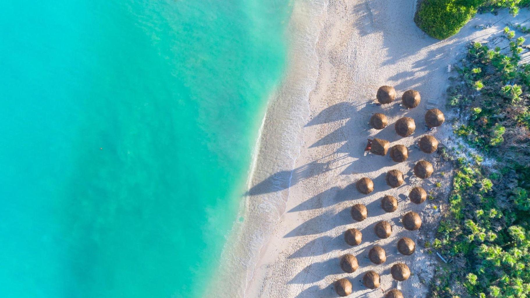 The Wedding Website of Haley Driebel and Christian Andres