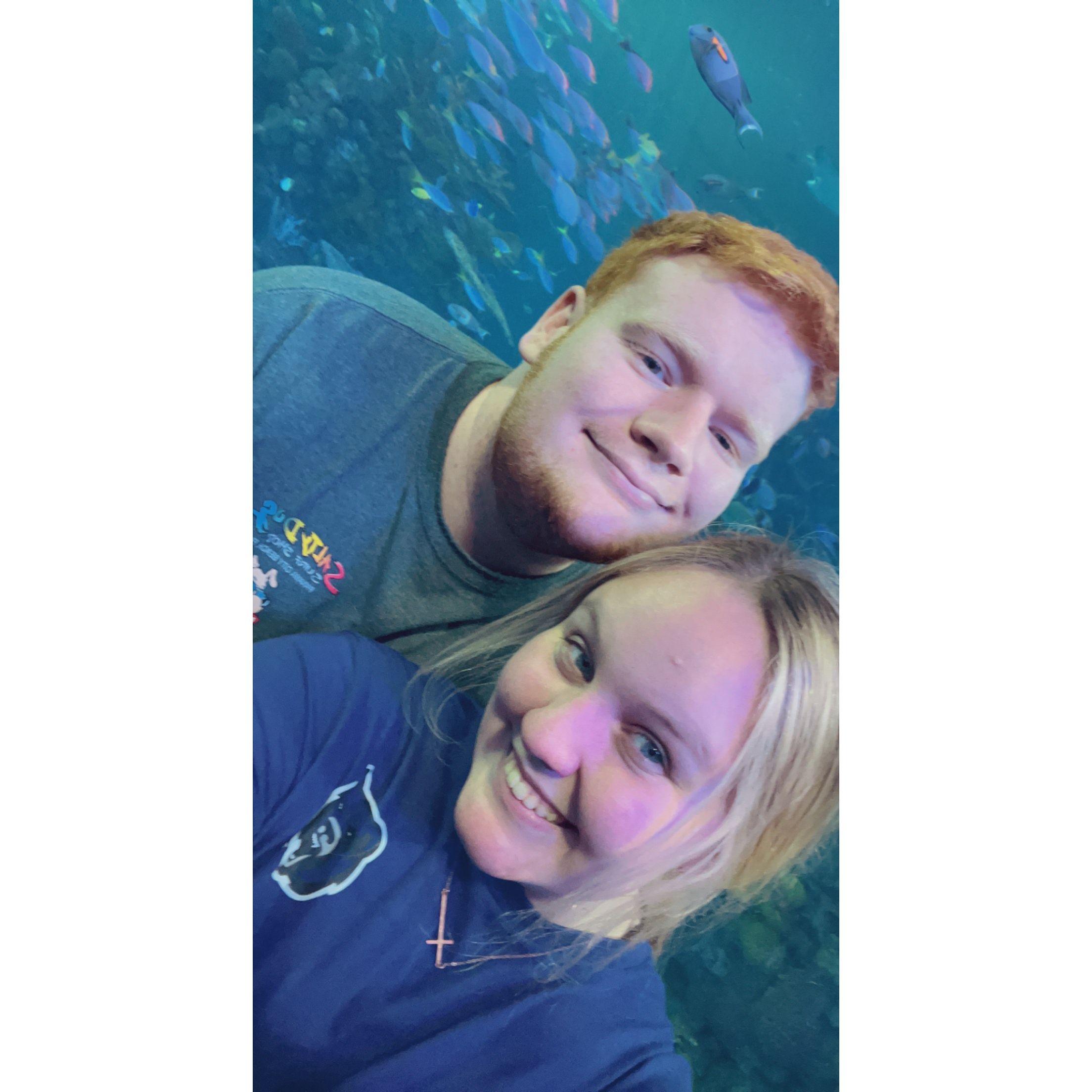 While on one of our many trips to Branson, we went to the aquarium. It was amazing!