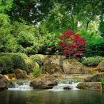 Bellevue Botanical Garden