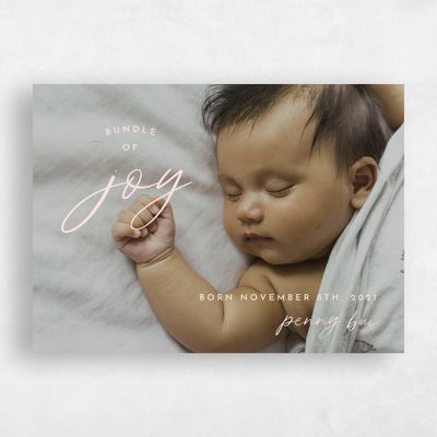 Pink Holiday Card - Ingram
