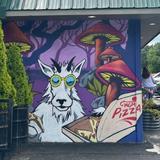Mountain Goat Market