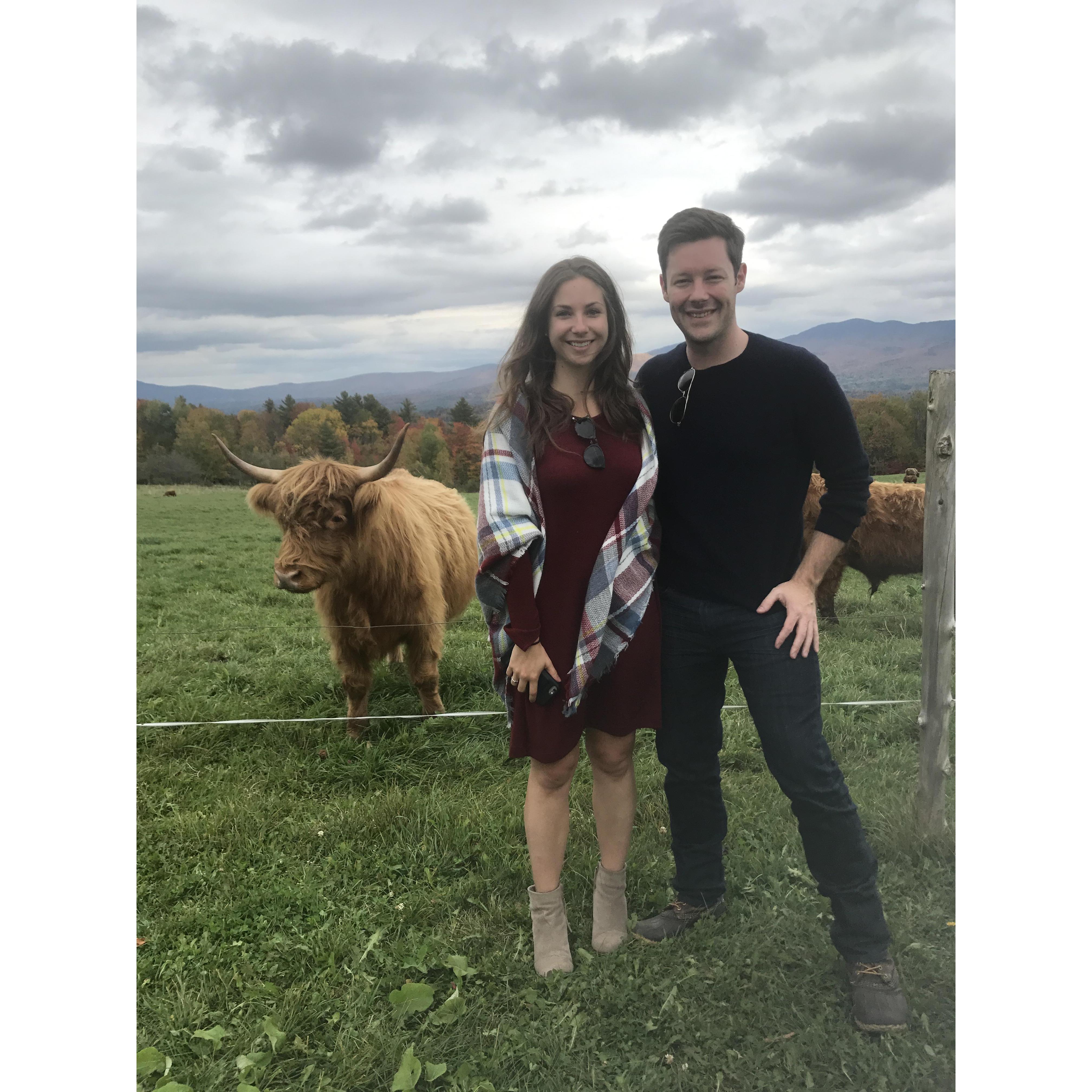 Vermont, October '17
