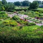 Norfolk Botanical Garden